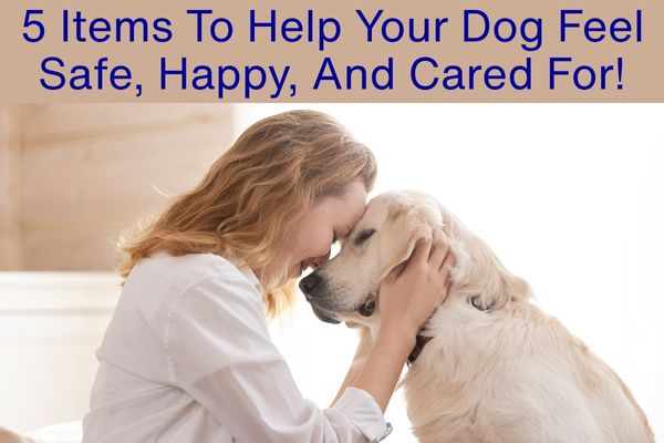 5 Must-Have Products For Your Lucky Dog  