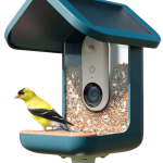 The Bird Buddy Smart Bird Feeder Pro Solar