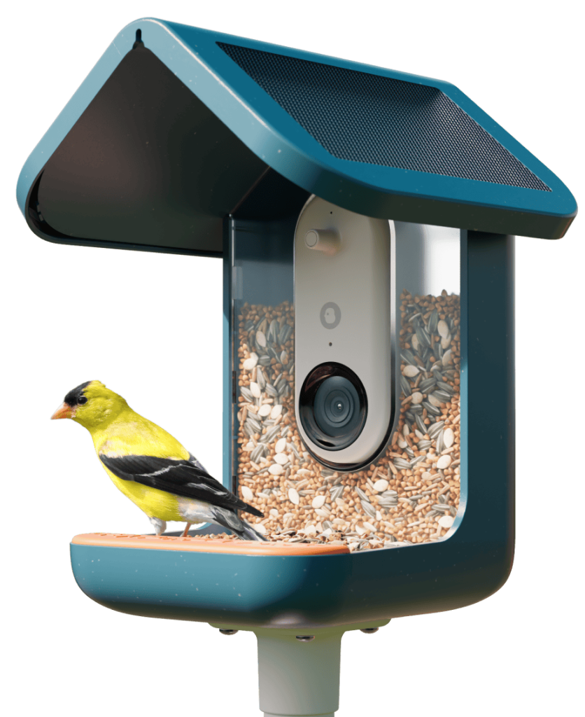 The Bird Buddy Smart Bird Feeder Pro Solar